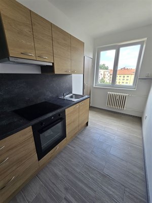 Krásný 3+1 se 2 balkony, po rekonstrukci